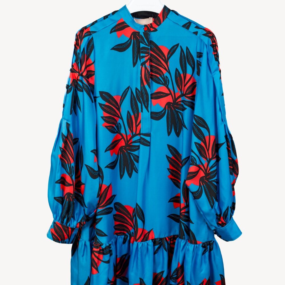 Roksanda SS/18 Aviana Blue Floral Silk Long-Sleeve Mini Dress